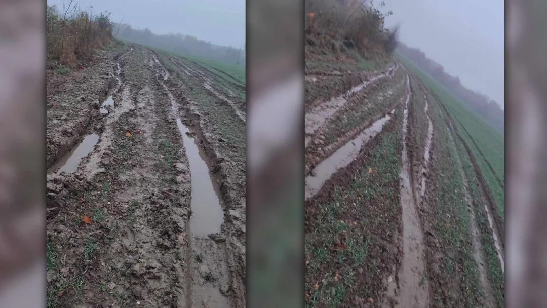 Bezmyślne zniszczenie na polu w okolicy Gryfowa: Głupota czy zły żart?
