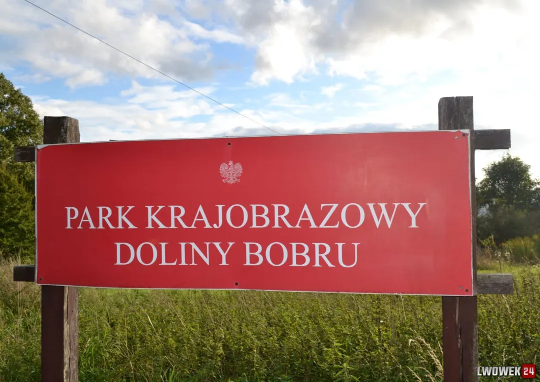 Nowe Wybory Sołtysów w Gminie Wleń: Modrzewie i Tarczyn gotowe na nową kadencję