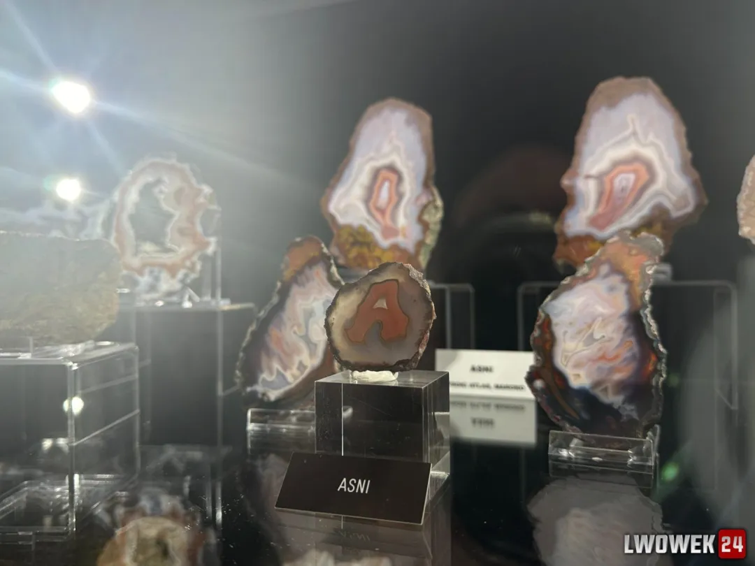 Koniecznie zobacz wystawę "Z agatem przez kontynenty" w lwóweckim ratuszu