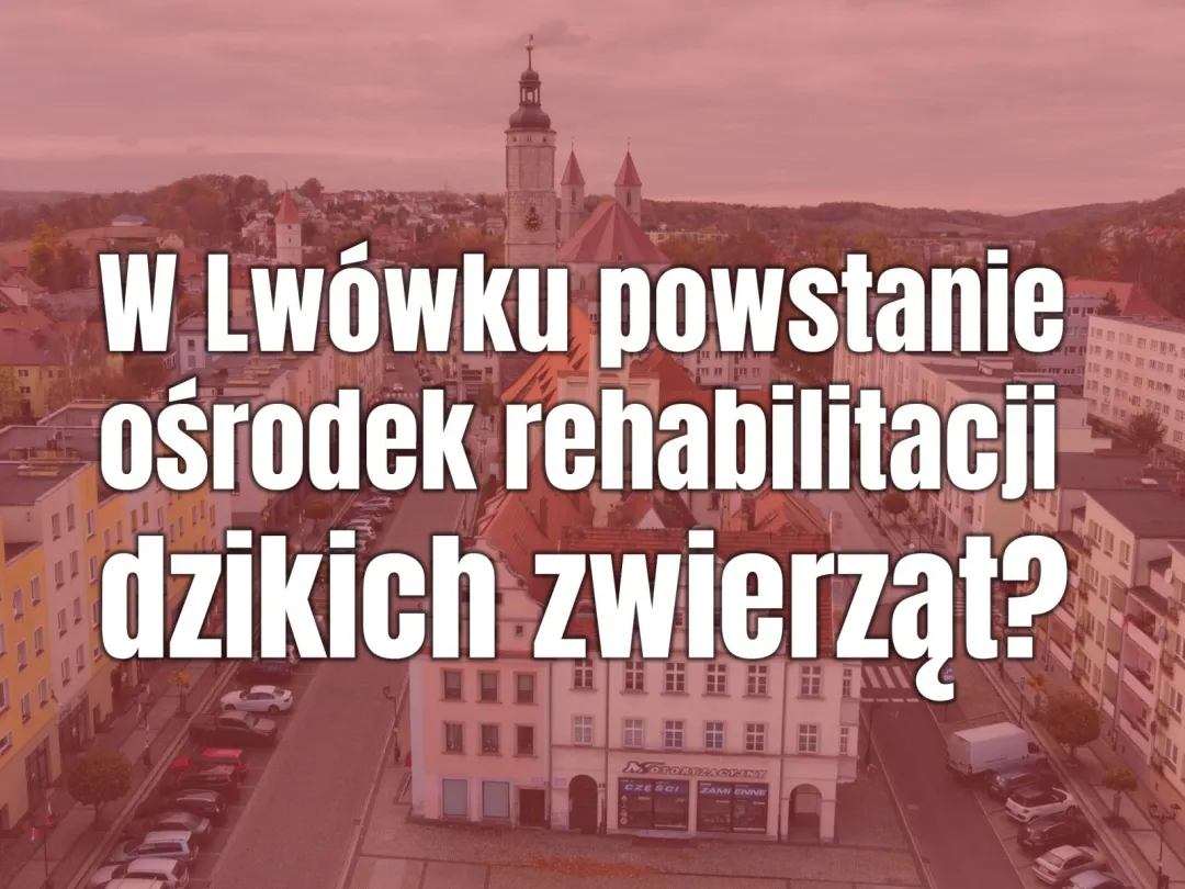 W Lwówku Śląskim powstanie ośrodek rehabilitacji dzikich zwierząt?