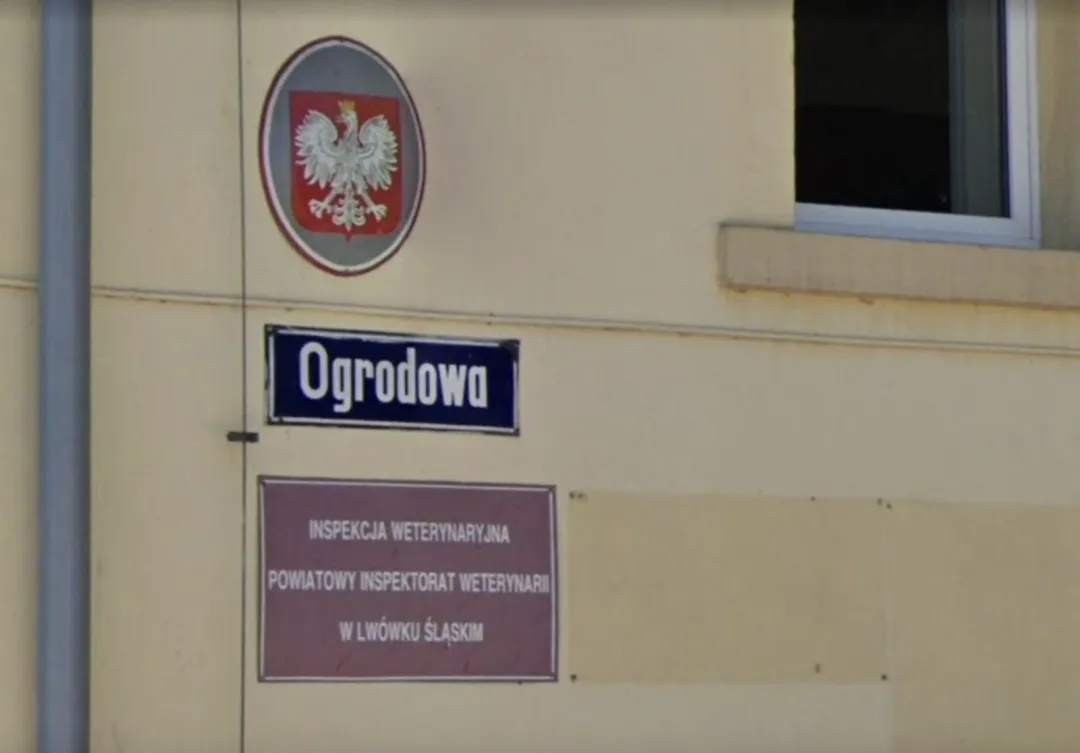 Powiatowy Lekarz Weterynarii w Lwówku Śląskim - odwołana. Czy ma to związek z wczorajszą akcją DIOZ?