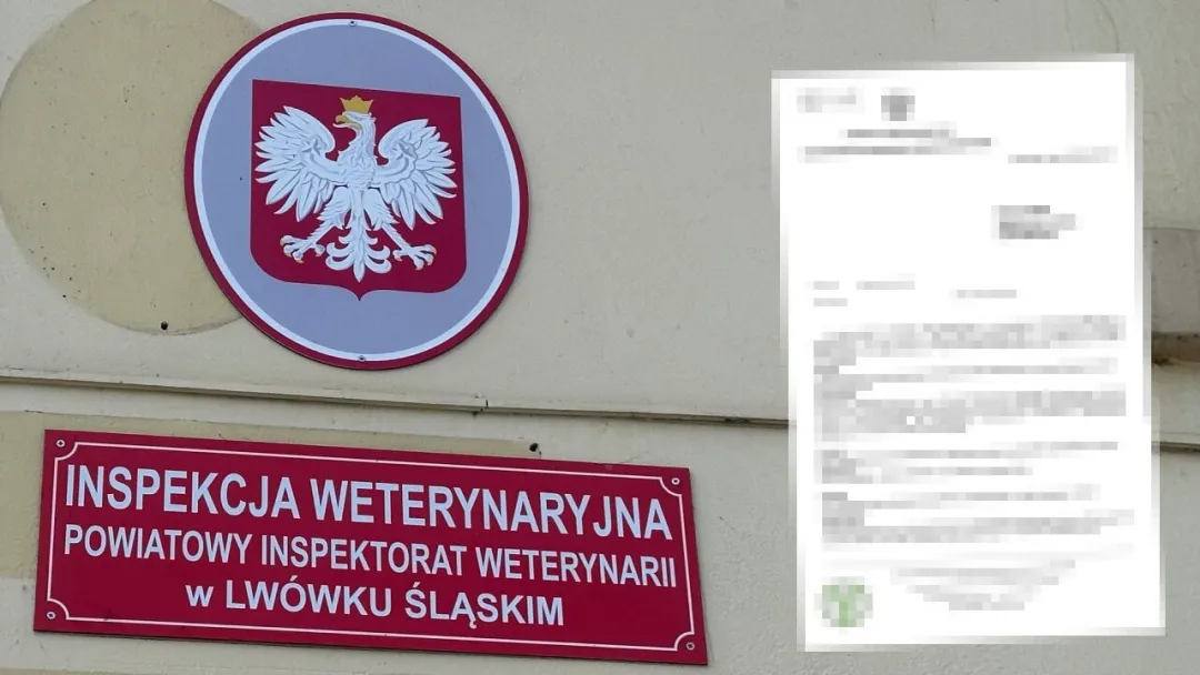 Oficjalnie wiadomo, dlaczego odwołano Powiatową Lekarz Weterynarii. Odpowiedź zaskoczy wszystkich