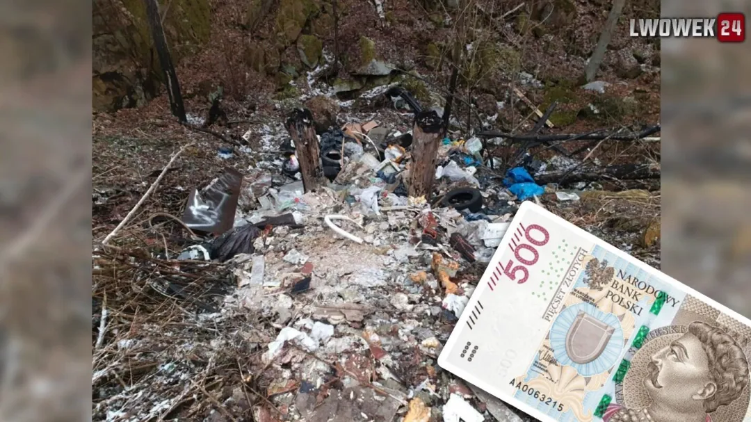 Ciąg dalszy: Nielegalne składowisko w Zbylutowie. Teren nieposprzątany, sprawca dostał 500 zł mandatu