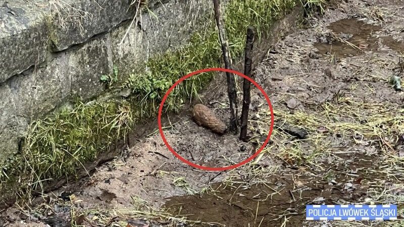 Pocisk moździerzowy w Lwówku Śląskim - wezwano saperów