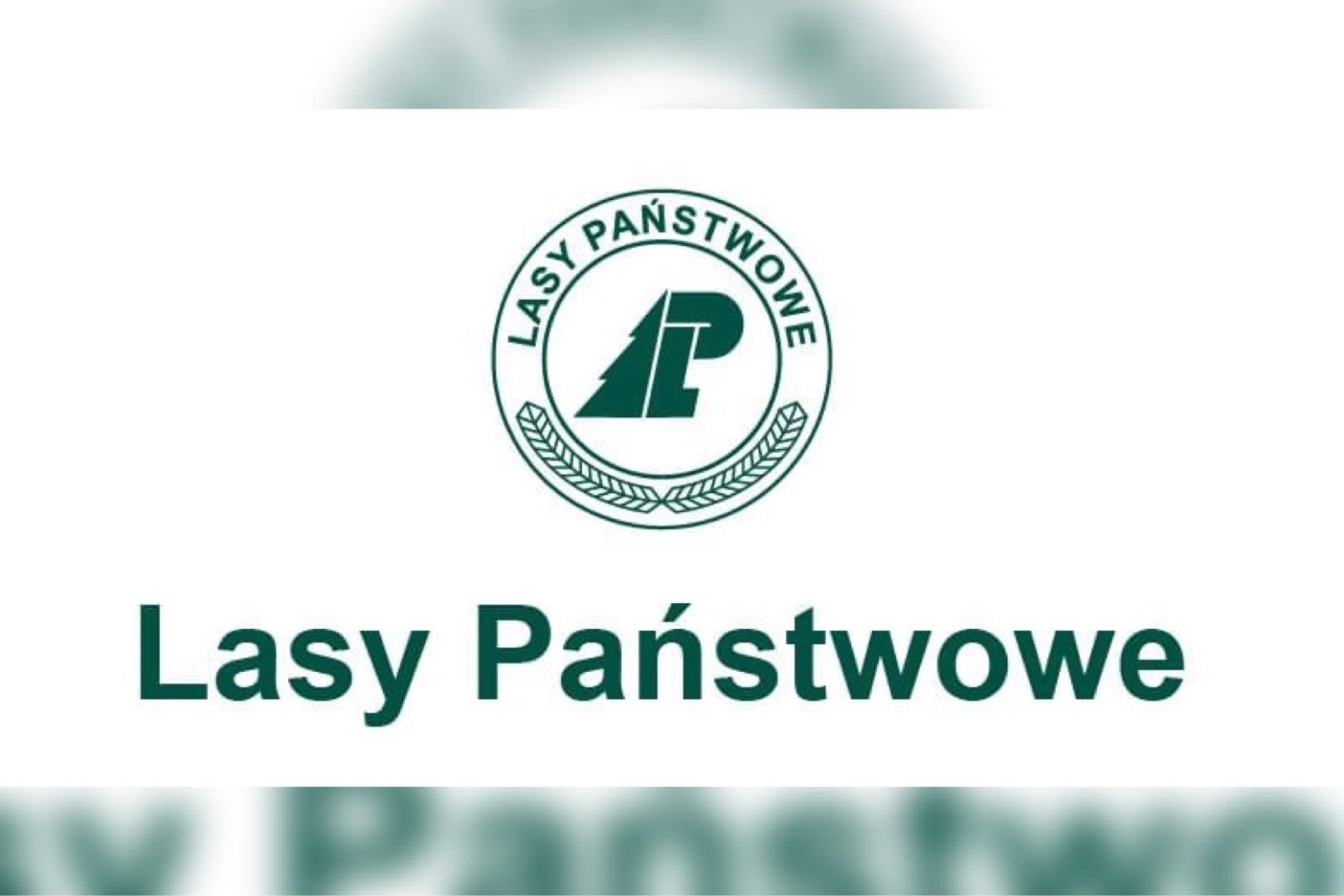 Nadleśnictwo Świeradów z pomocą dla pogorzelców z Mroczkowic