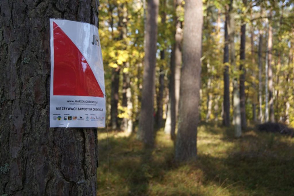 Uczeń lwóweckiej szkoły - Wicemistrzem Polski w marszach na orientacje