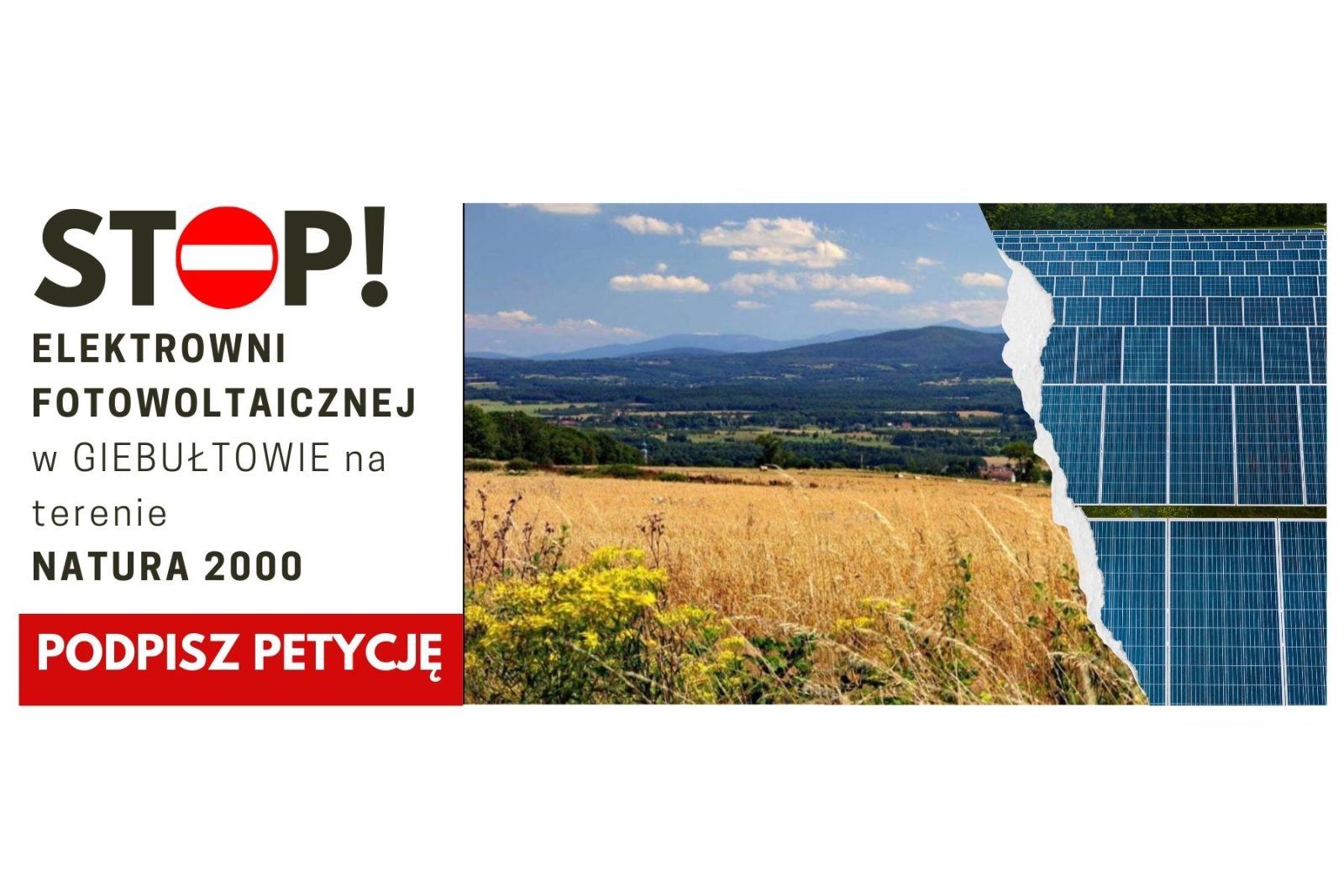 Chrońmy tereny Natura 2000: petycja przeciwko farmie fotowoltaicznej w Giebułtowie
