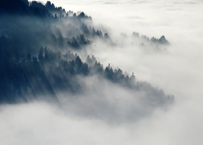 Uwaga na gęste mgły - jest ostrzeżenie IMGW