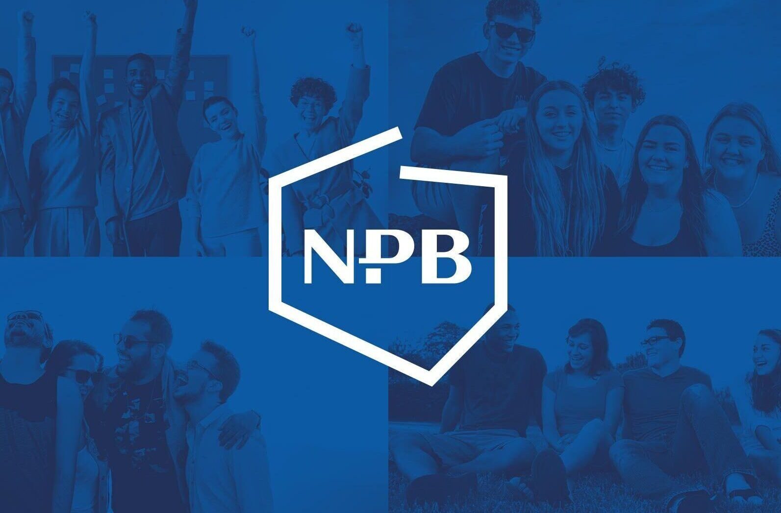NPB.com.pl - Płatne ankiety on-line