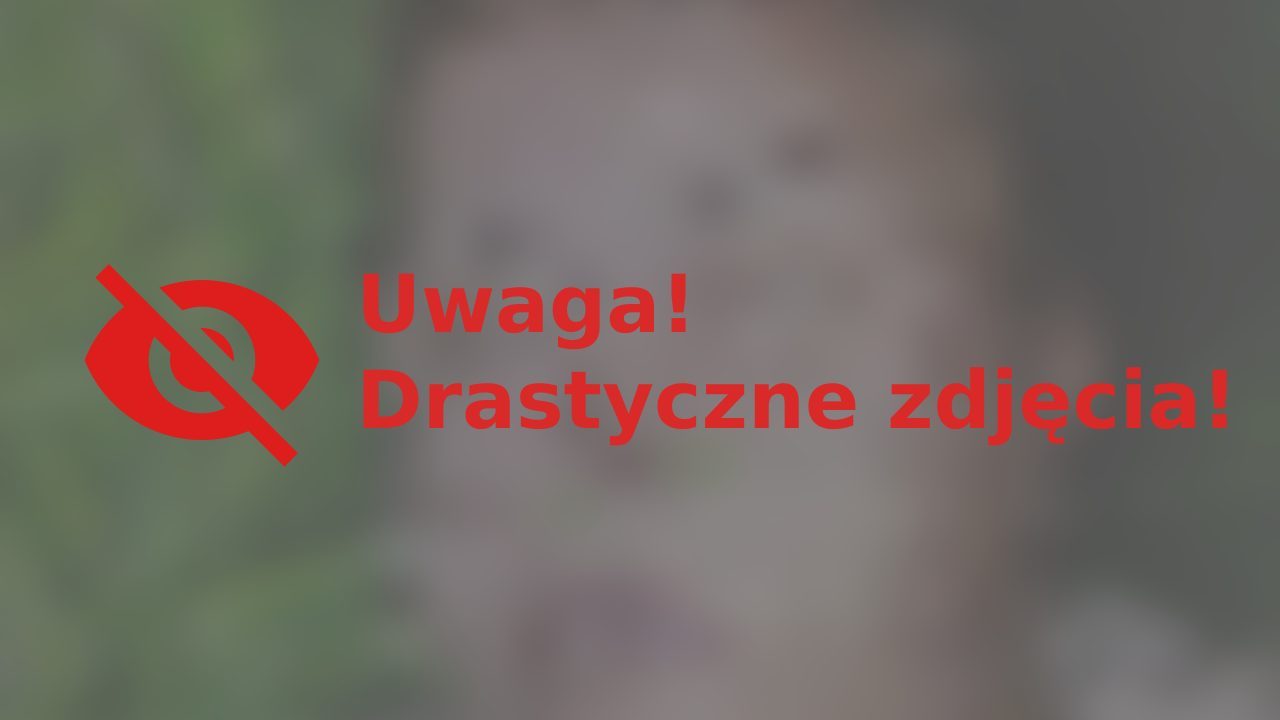Odnaleziono zwłoki kobiety. Policja prosi o pomoc. Uwaga drastyczne zdjęcia!