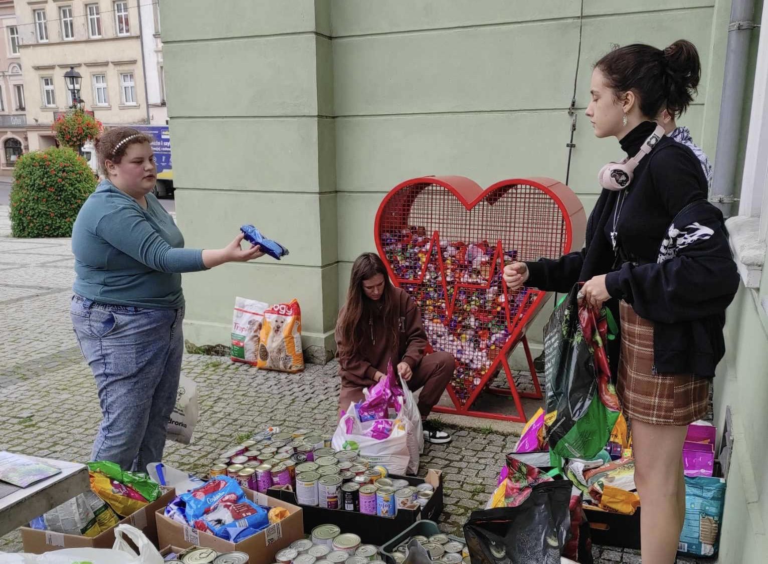 Niezwykła zbiórka karmy dla bezdomnych kotów w Gryfowie Śl.