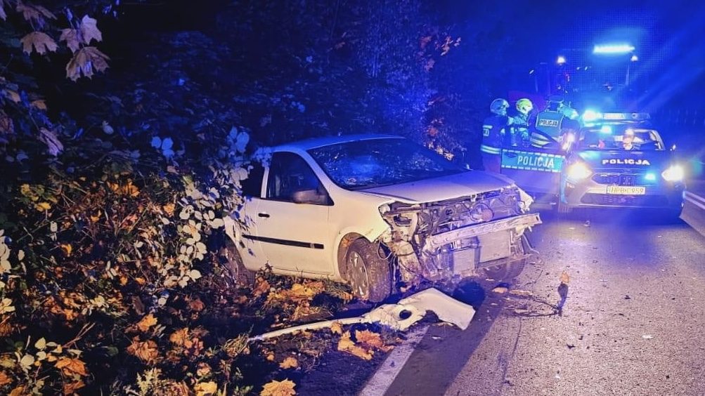Wjechał do rowu w Rząsinach. Utrudnienia na drodze Gryfów Śląski - Lwówek Śląski