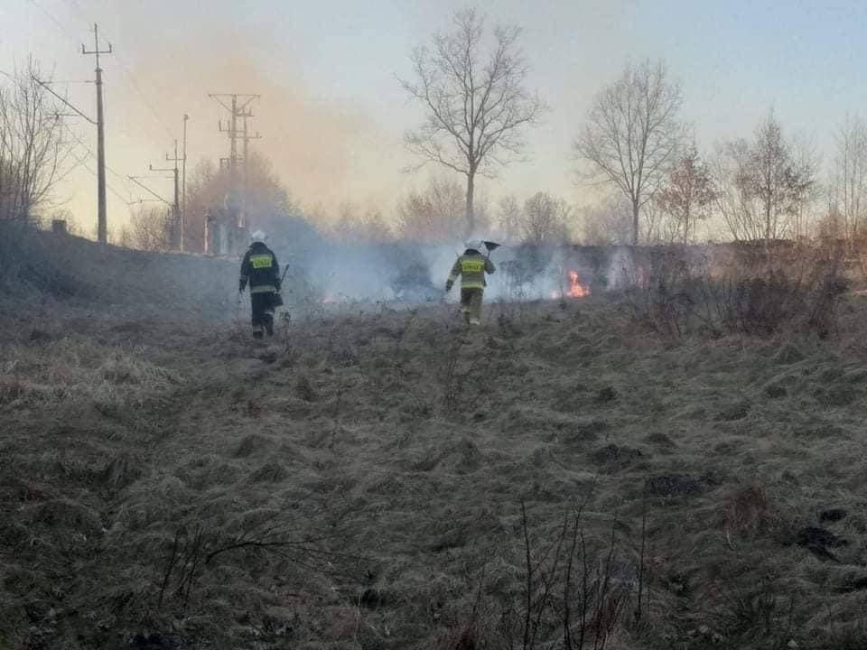Pożar nieużytków w Radoniowie