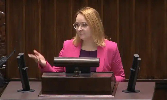 Posłanka z Bolesławca chce zakazać fajerwerków
