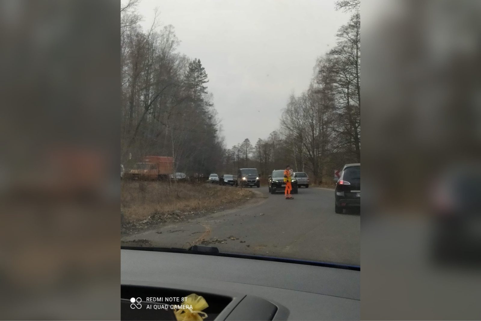 Droga Pławna Górna - Lubomierz | Z kierowanym ruchem