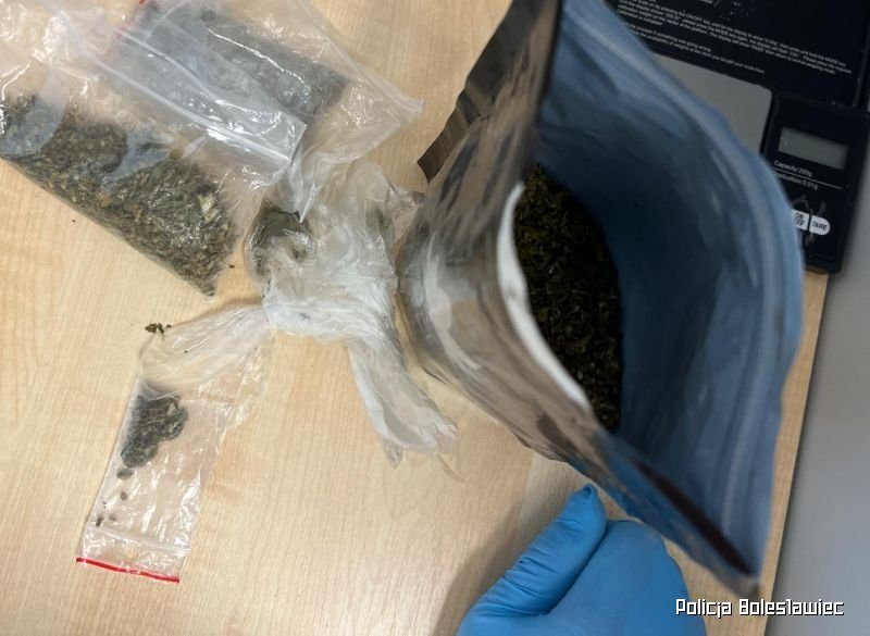 Kryminalni zabezpieczyli ponad 350 porcji narkotyków i zatrzymali podejrzanego 36-latka