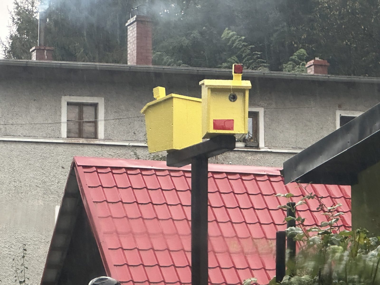 Czy fotoradar może karmić ptaki? W Lwówku Śląskim to możliwe!