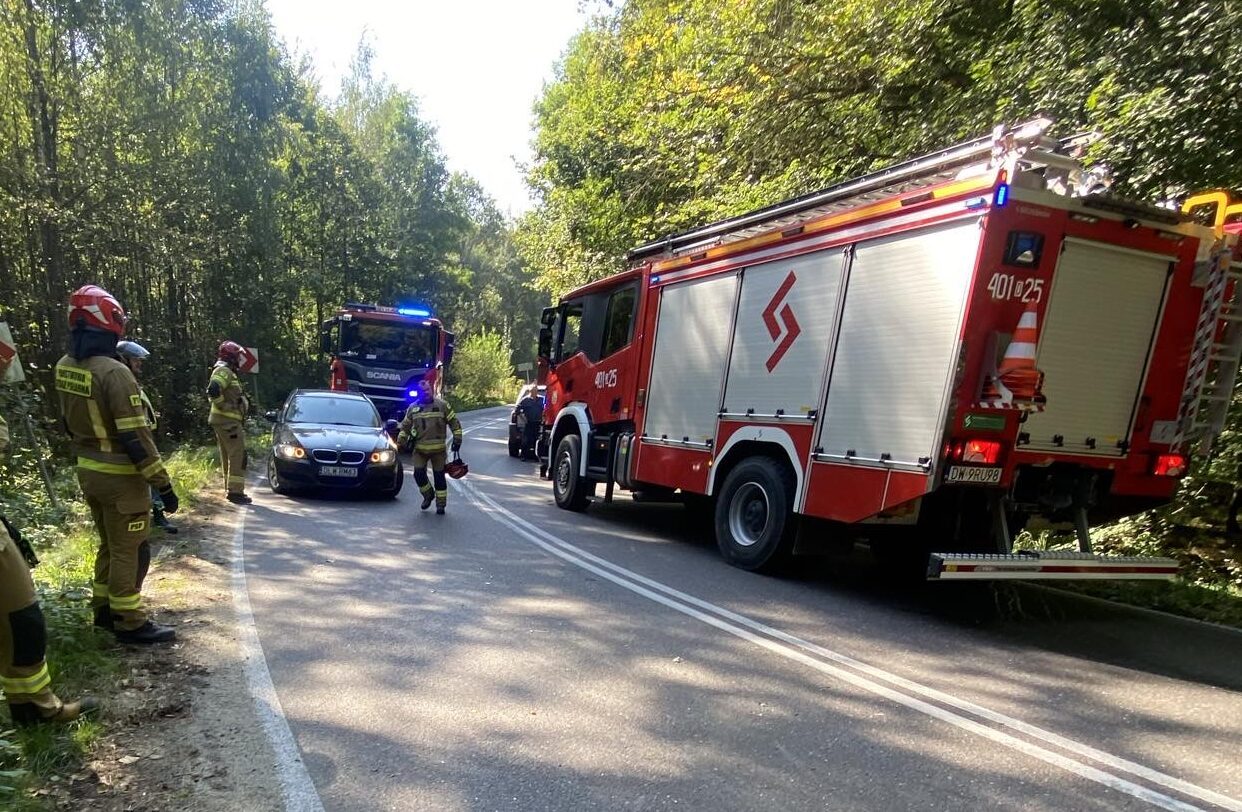 Wypadek kolumny rządowej w Żerkowicach? Czytelnik: na miejscu 4 wozy strażackie, 2 radiowozy i karetka