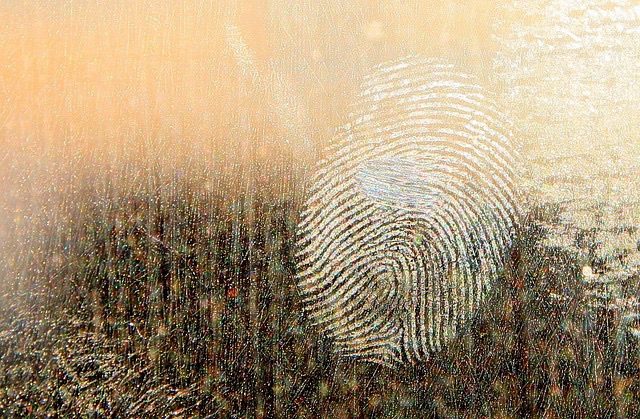 Policjanci z Bolesławca rozwiązali sprawę włamania sprzed 17 lat dzięki śladowi biologicznemu