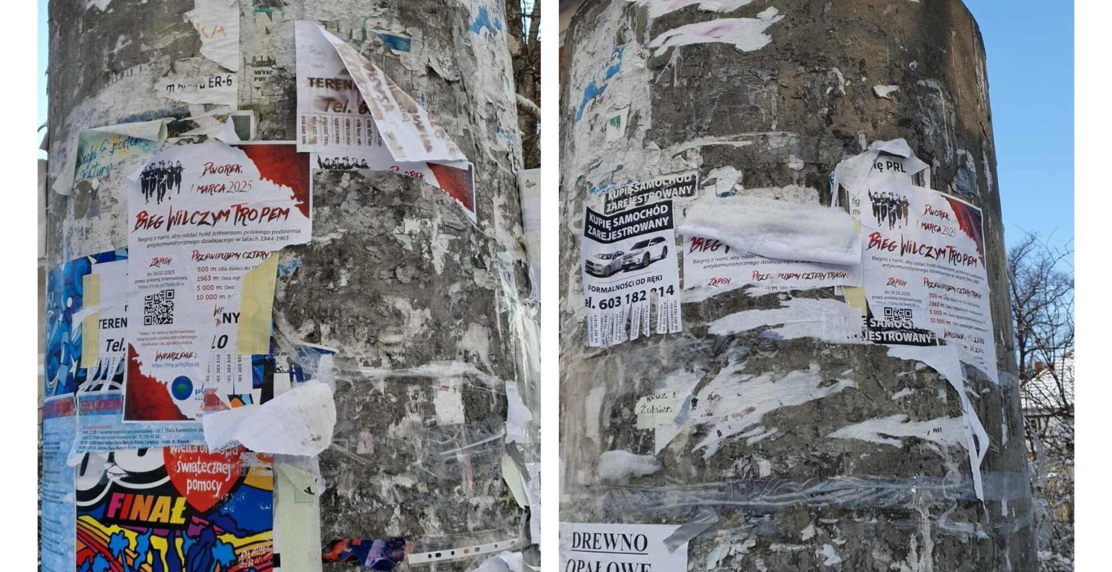 Niszczenie plakatów wydarzenia w Lwówku. Organizatorzy: „brak szacunku dla wolontariuszy”