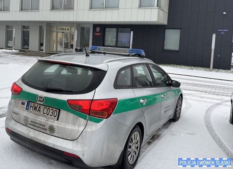 Ogólnopolska akcja poszukiwawcza – efekty działań lwóweckich policjantów