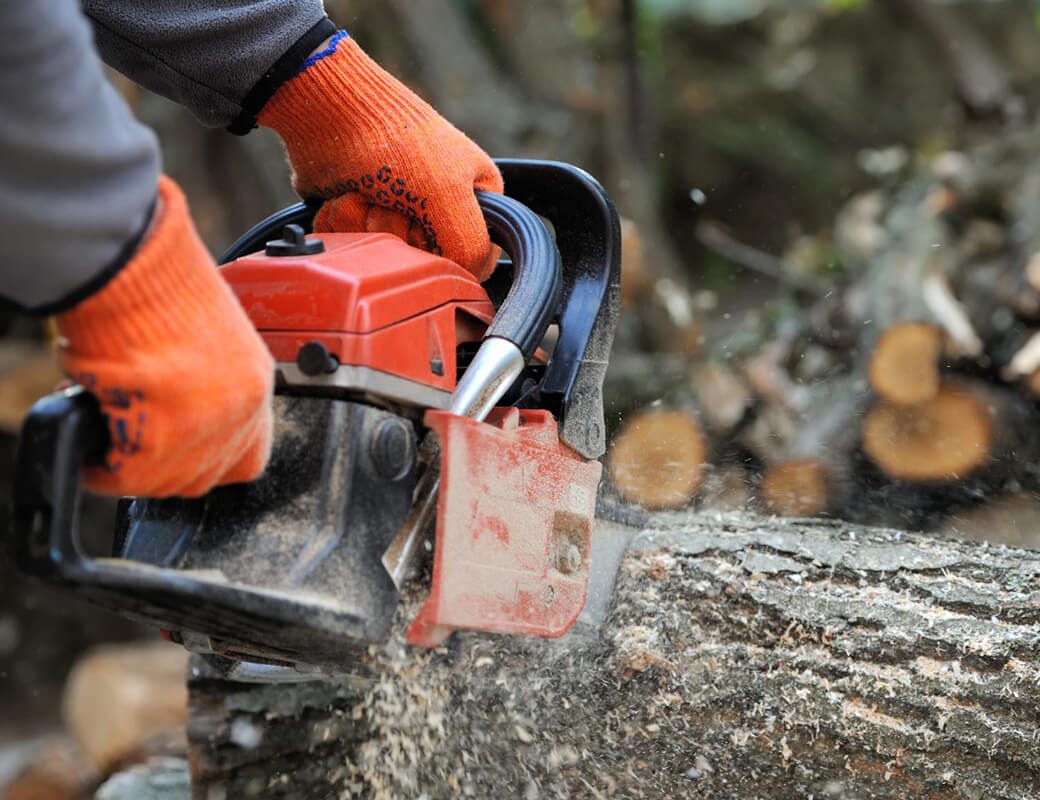 Będą utrudnienia w ruchu we Wleniu – gmina informuje o czasowej wycince drzew