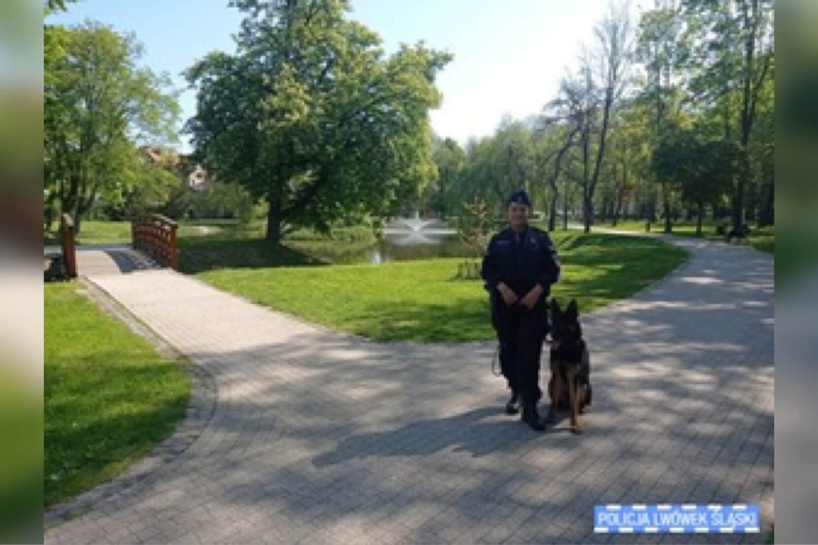 Nowy pies tropiący w lwóweckiej policji