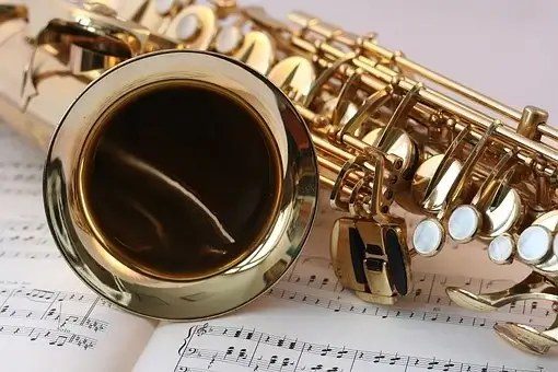 Koncert ,,muzyczny wieczór w klatce"