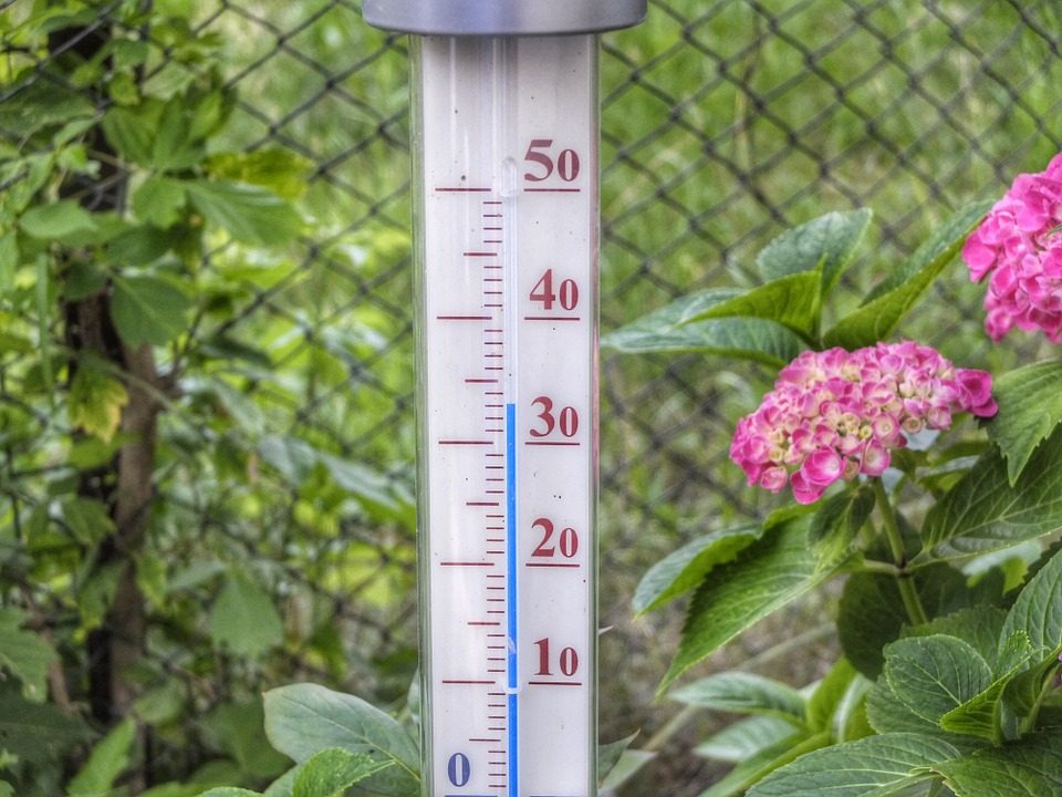 Gwałtowne zmiany temperatur i upały - jak z nimi żyć?