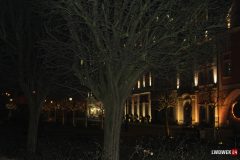 IMG_7656
