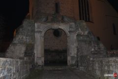 IMG_7661