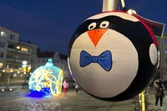IMG_0657