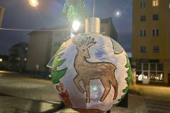 IMG_0666