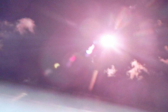 311709753_183173857620619_7506342623986040167_n