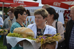 DSC_1352