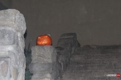 IMG_7081
