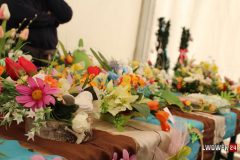 IMG_9177