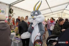IMG_9214