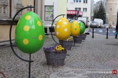 IMG_9219