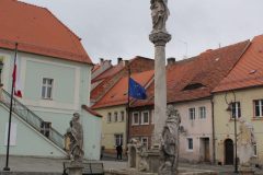 IMG_7488