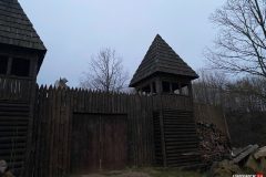 IMG_3982