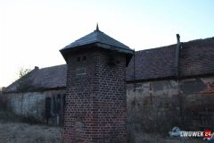 IMG_7685
