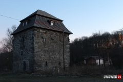 IMG_7688