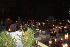 IMG_7133