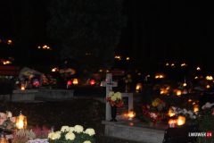 IMG_7137