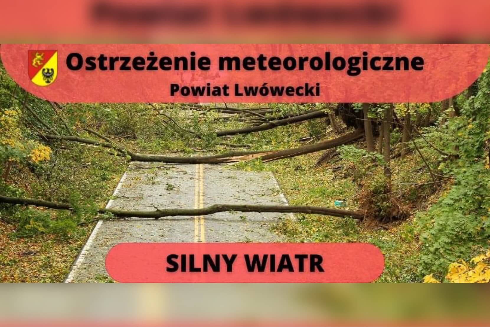  Silny wiatr w powiecie lwóweckim, jest ostrzeżenie!