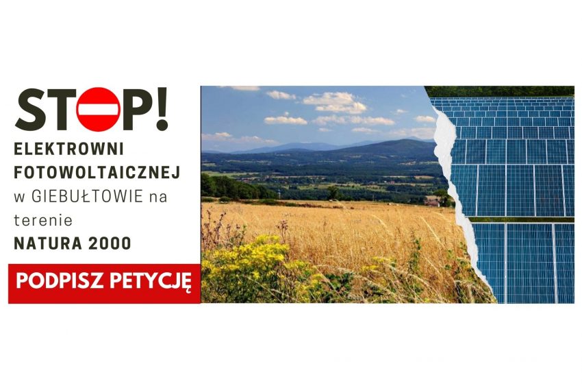  Chrońmy tereny Natura 2000: petycja przeciwko farmie fotowoltaicznej w Giebułtowie