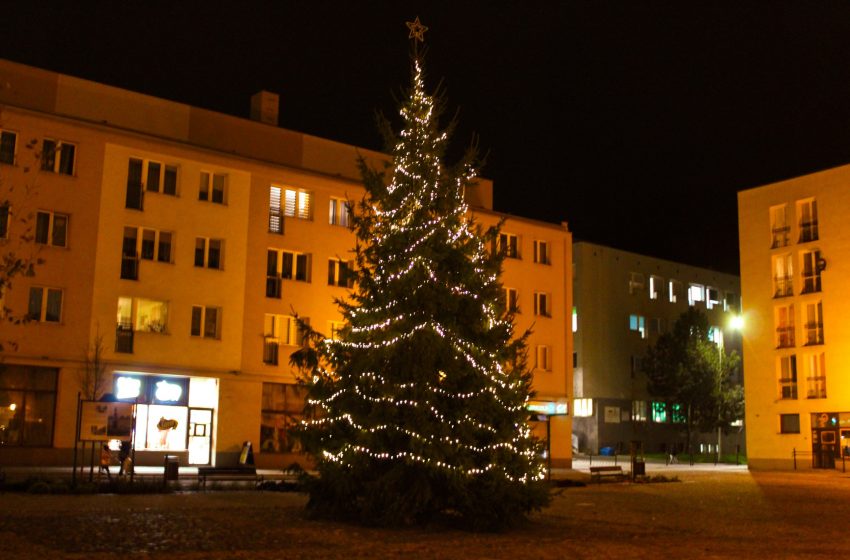  Mieszkańcy Lwówka mogą już poczuć świąteczny klimat