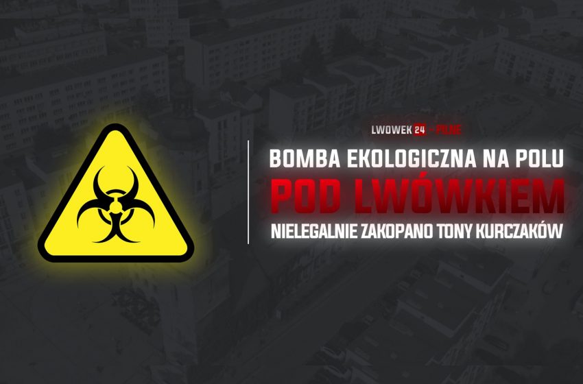  Bomba ekologiczna na polu pod Lwówkiem – nielegalnie zakopano tony padłych kurczaków!