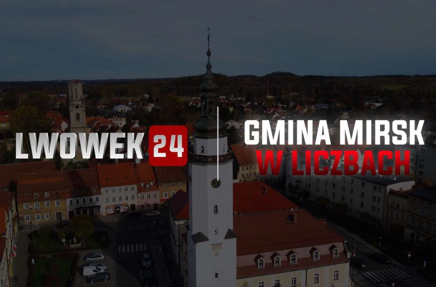  Gmina Mirsk: spadek dzietności o 31%